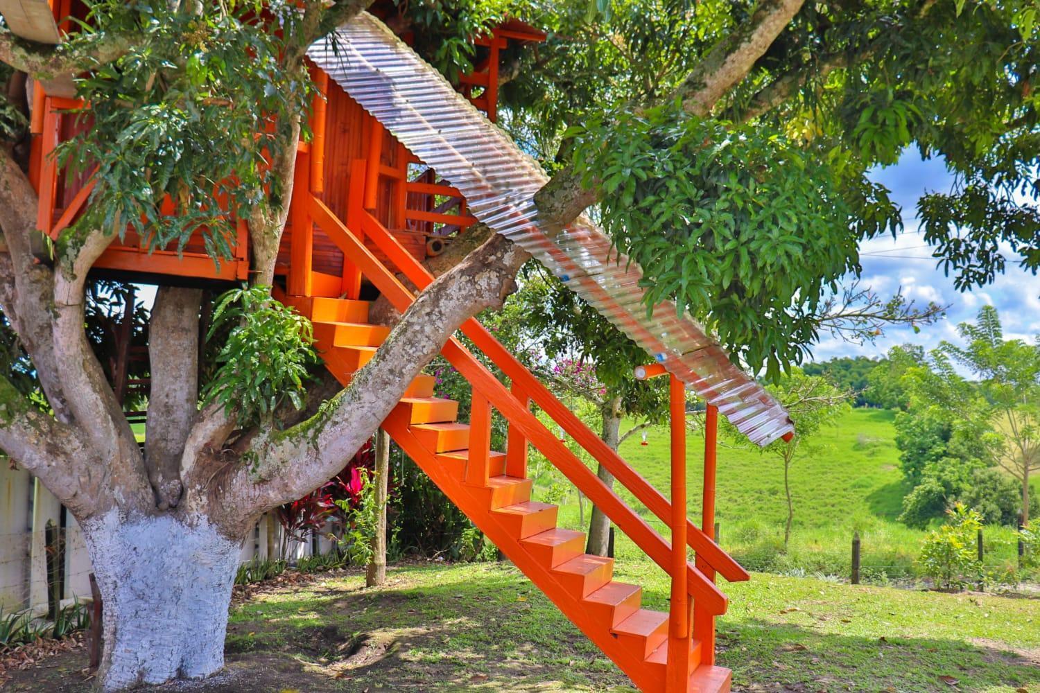 Finca Turistica Los Alpes Quimbaya Luaran gambar